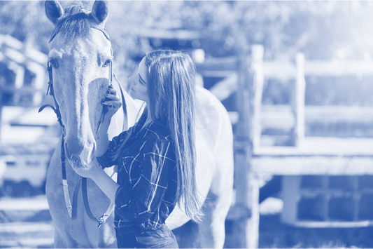 The Benefits of DMSO in Animal Care