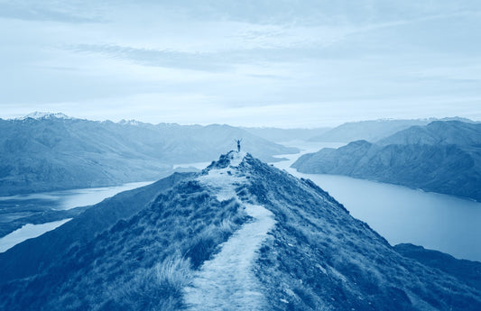 DMSO: A Journey From Forest to Laboratory