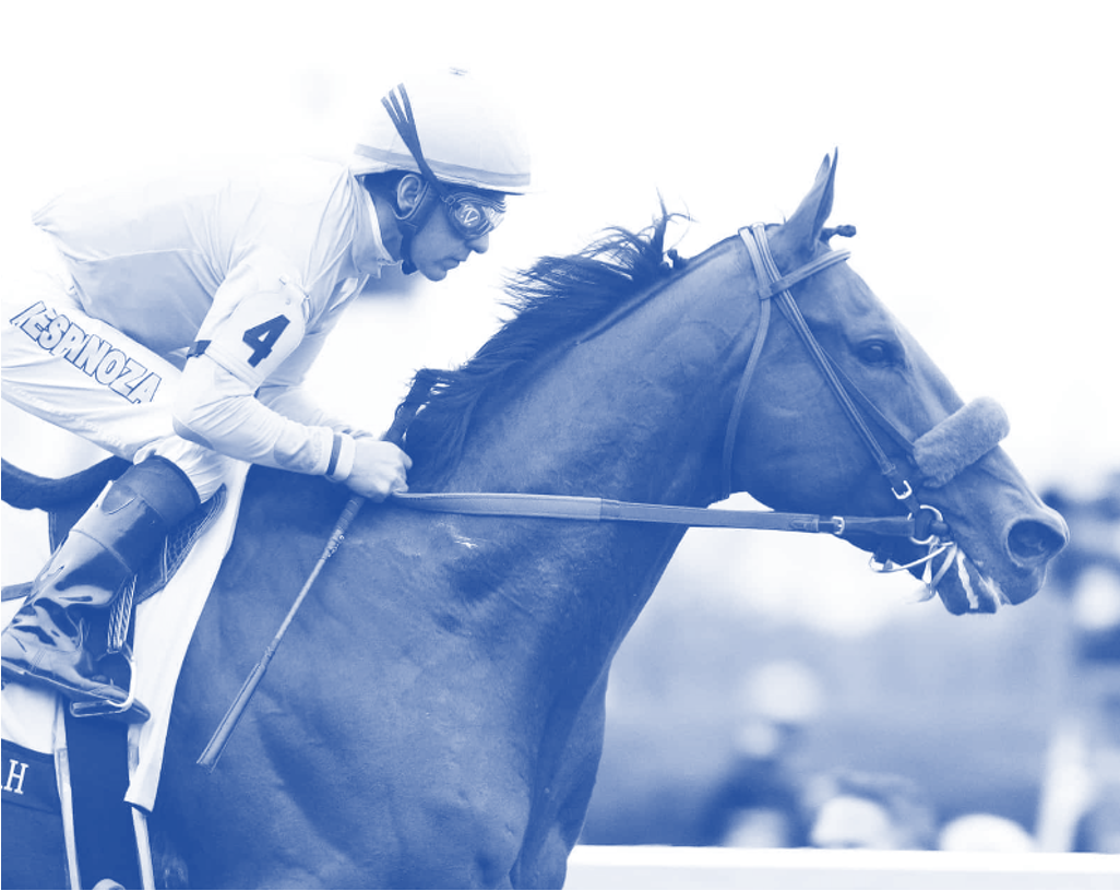 The History of DMSO and Elite Race Horses