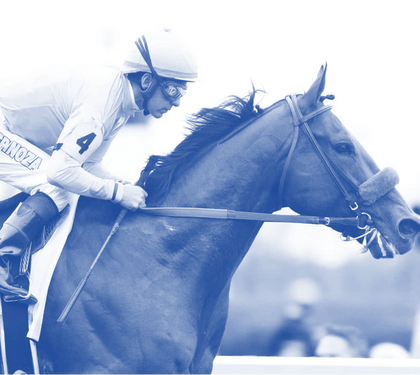 The History of DMSO and Elite Race Horses