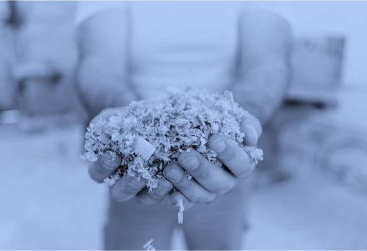 Where does DMSO come from?